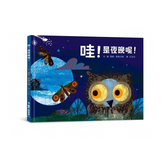 哇!是夜晚呢!